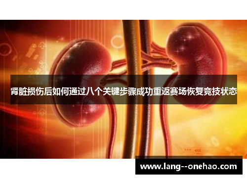 肾脏损伤后如何通过八个关键步骤成功重返赛场恢复竞技状态