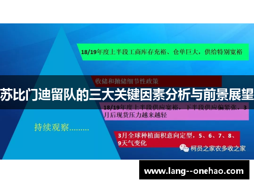 苏比门迪留队的三大关键因素分析与前景展望 苏比门迪留队的三大关键因素分析与前景展望