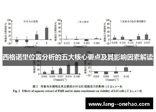 西格诺里位置分析的五大核心要点及其影响因素解读 西格诺里位置分析的五大核心要点及其影响因素解读