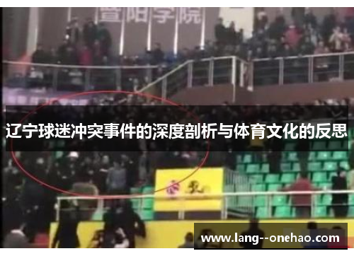 辽宁球迷冲突事件的深度剖析与体育文化的反思 辽宁球迷冲突事件的深度剖析与体育文化的反思