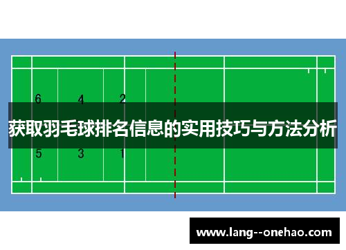获取羽毛球排名信息的实用技巧与方法分析 获取羽毛球排名信息的实用技巧与方法分析